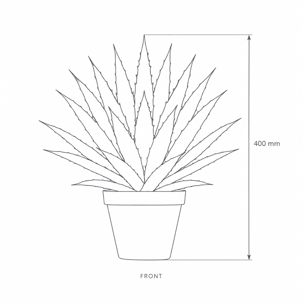40cm Realistic Artificial Agave Plant #AC28040, dimensions drawing