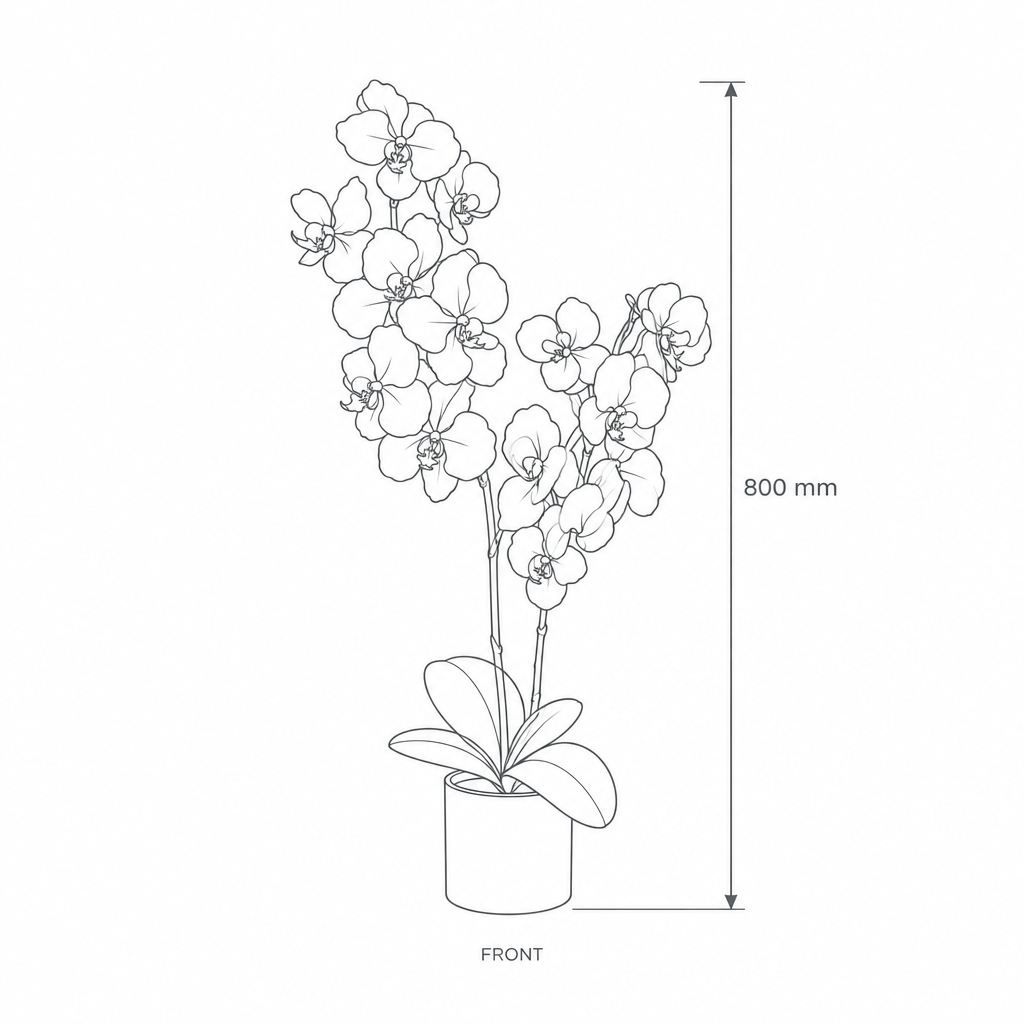 80cm Artificial Plant #JWS3687-1, dimensions drawing