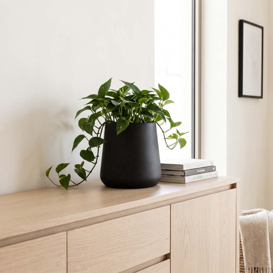 20x25cm Black Fiberclay Planter #KD-003