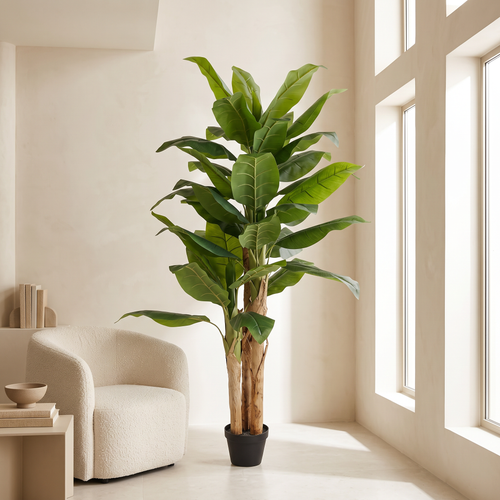 160cm Realistic Tall Artificial Banana Tree #A736160 in a Muscat home