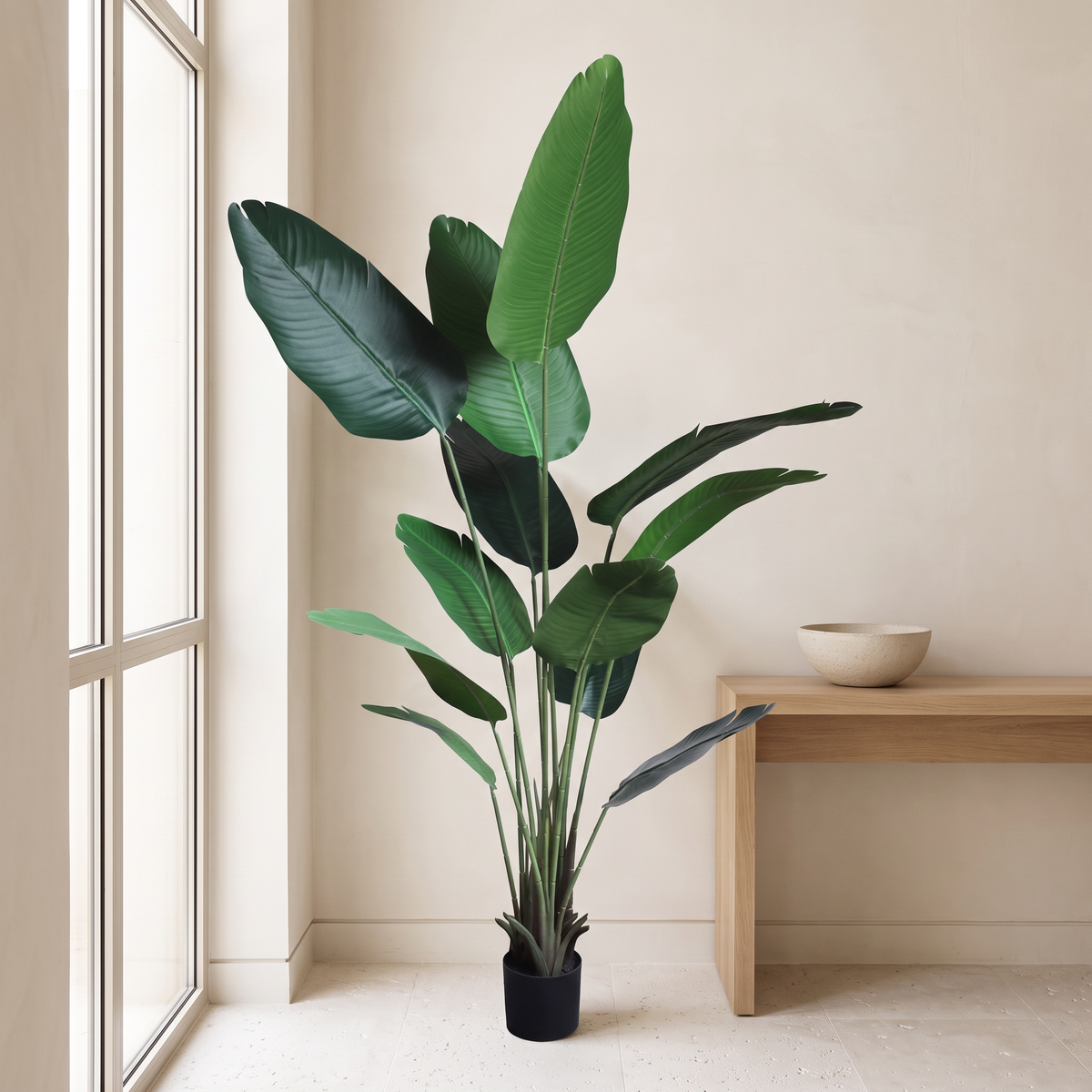 180cm Realistic Tall Traveler's Palm Tree #KD1412 in a Muscat home
