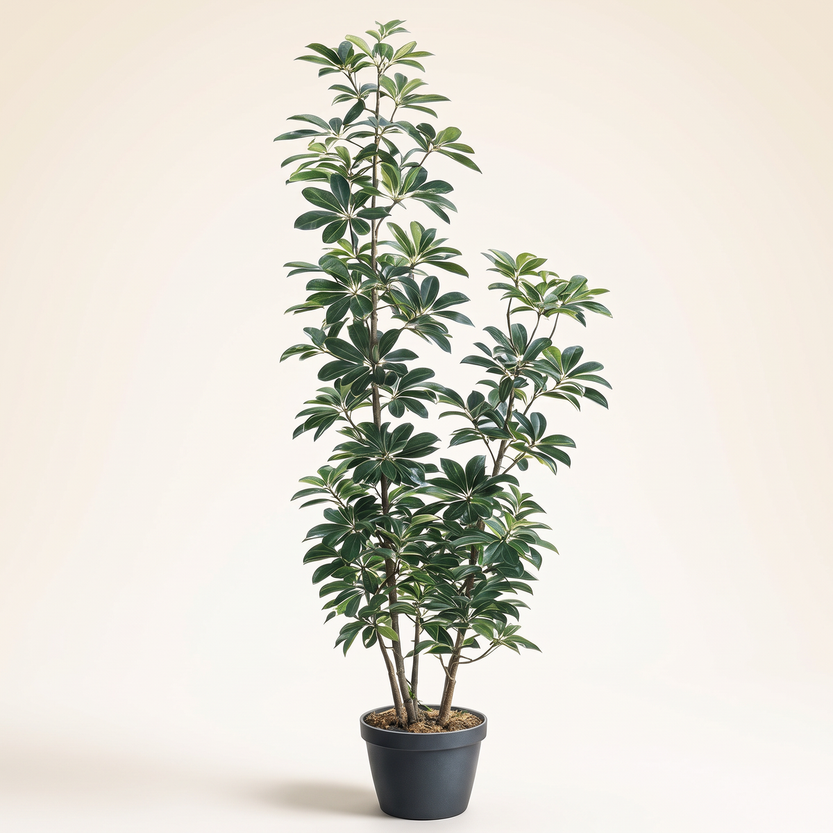 160cm Artificial Plant #JWS3507, studio view