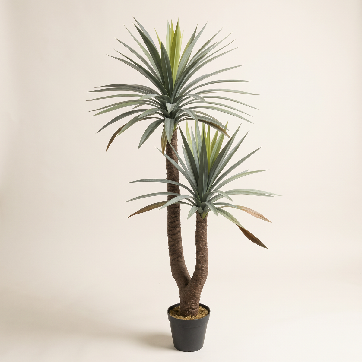 150cm Artificial Plant #JWT3494, studio view