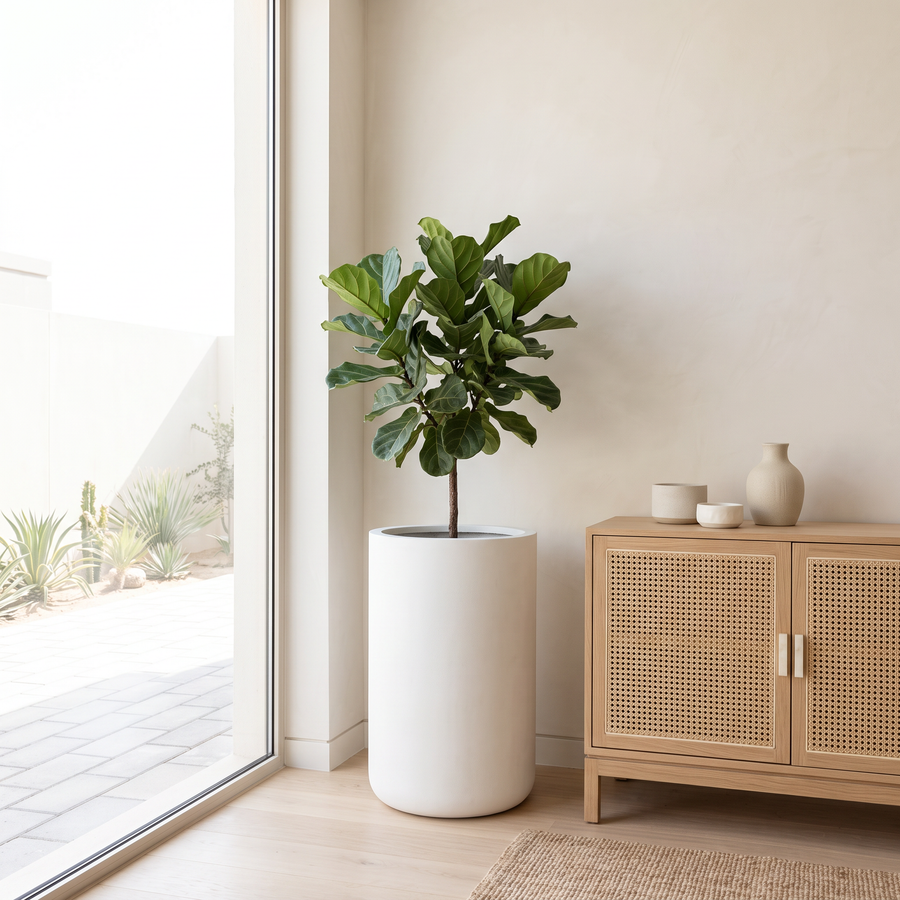 40x50cm Modern Concrete Look Fiberclay Planter #KD-065