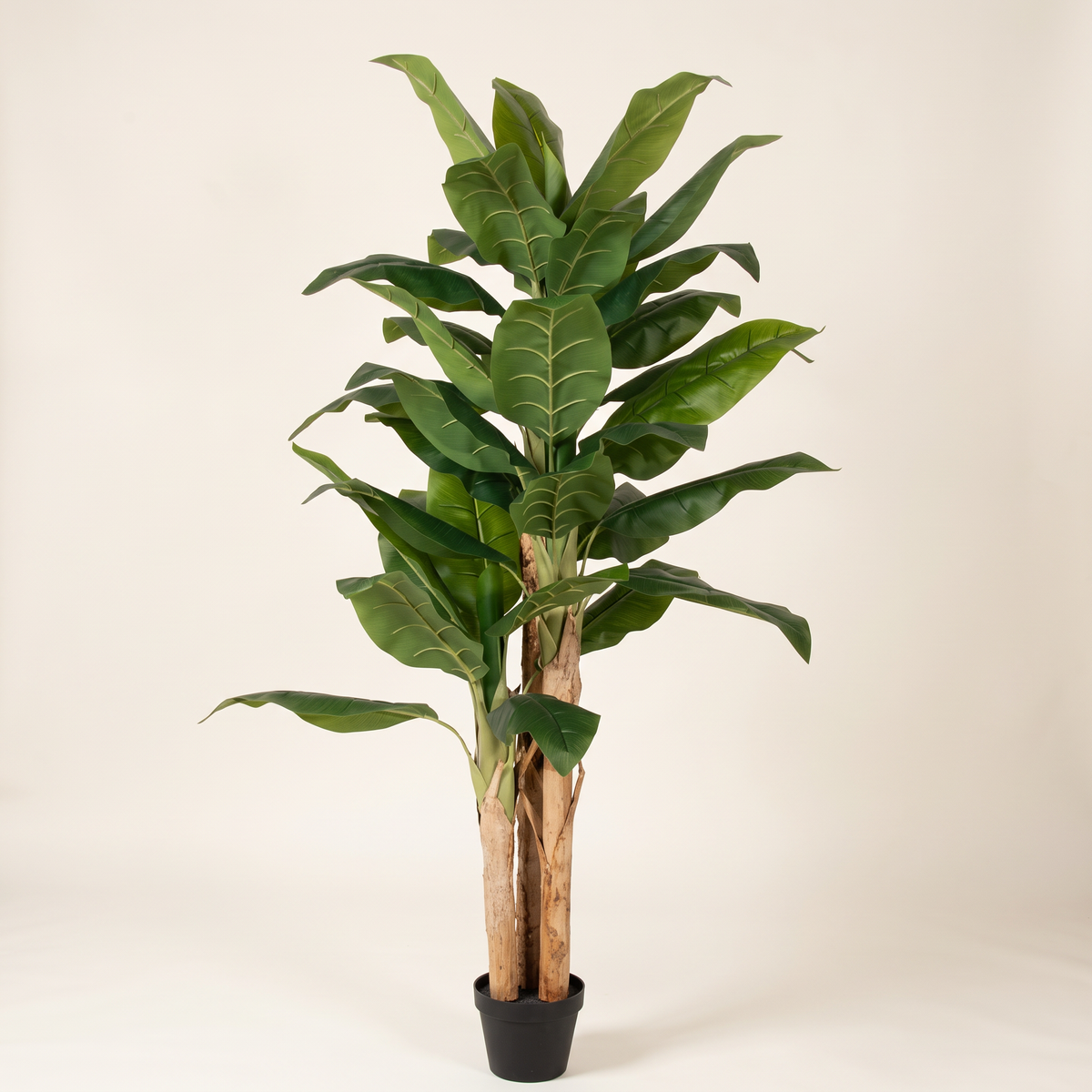160cm Realistic Tall Artificial Banana Tree #A736160, studio view