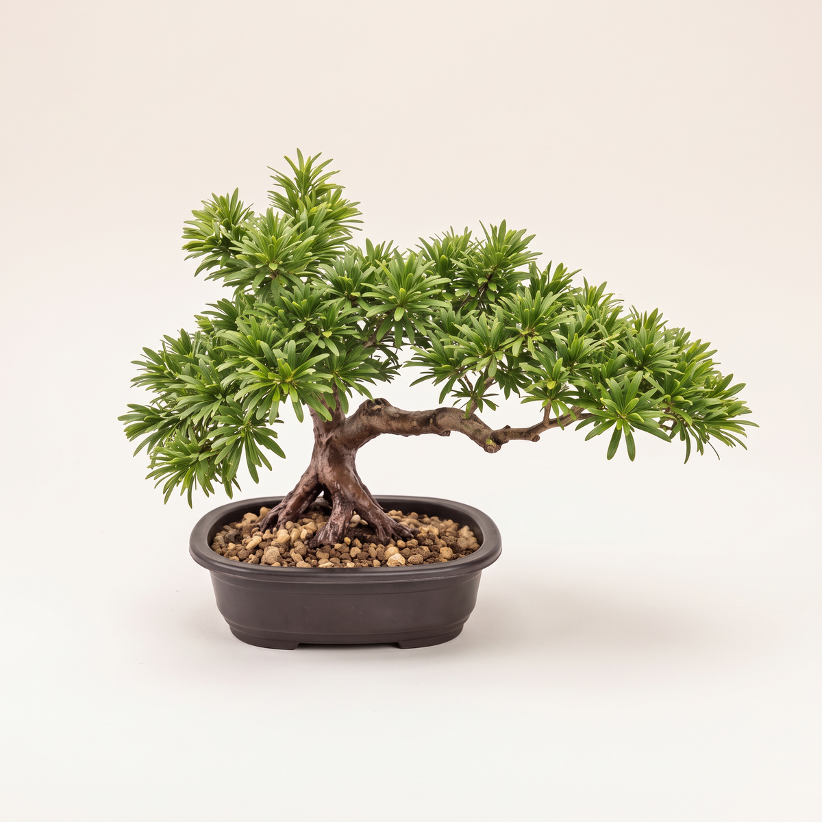 30cm Artificial Plant #JWT3817, studio view