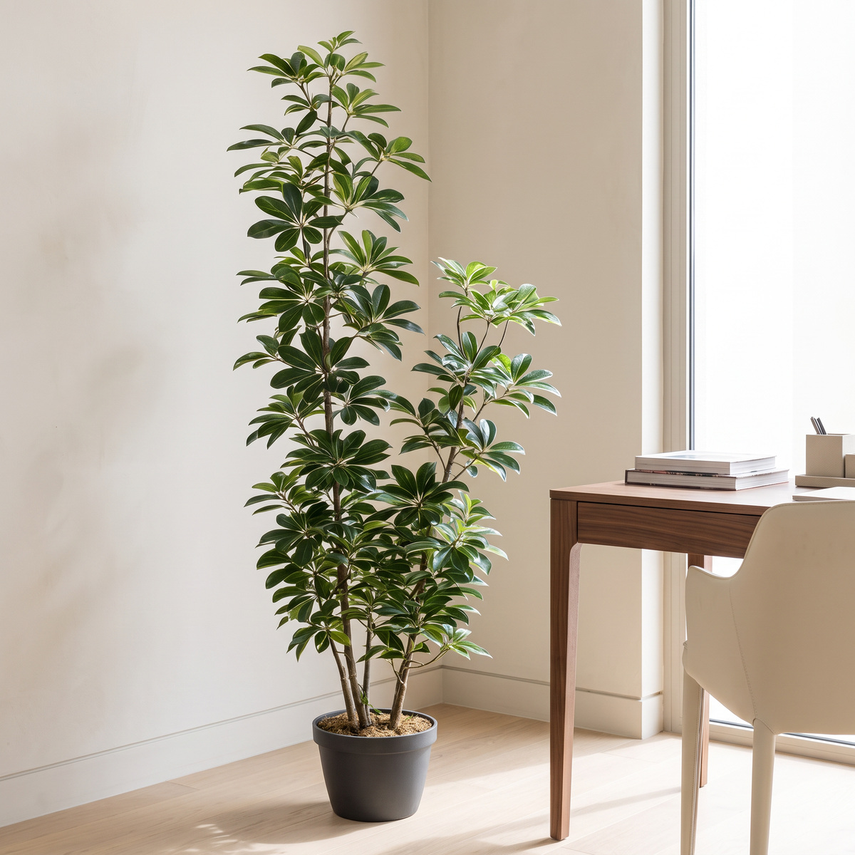 160cm Artificial Plant #JWS3507, second room view