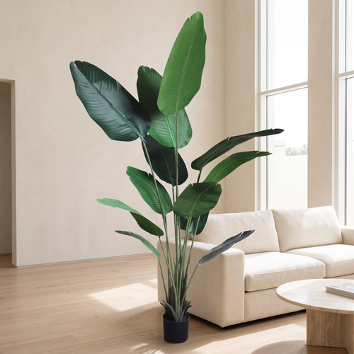 180cm Realistic Tall Traveler's Palm Tree #KD1412, second room view
