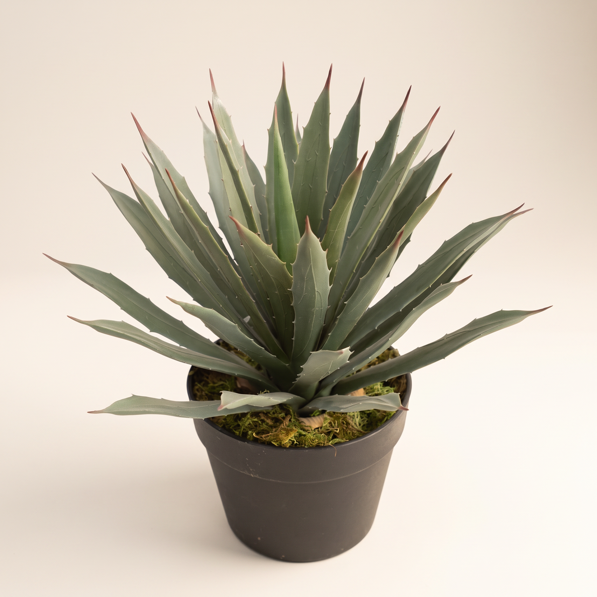 40cm Realistic Artificial Agave Plant #AC28040, studio view
