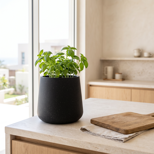 20x25cm Black Fiberclay Planter #KD-003, second room view
