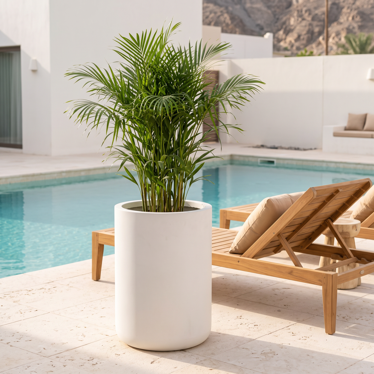 40x50cm Modern Concrete Look Fiberclay Planter #KD-065, second room view