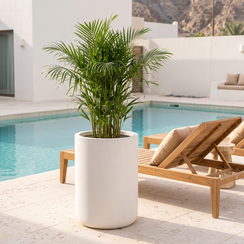 40x50cm Modern Concrete Look Fiberclay Planter #KD-065, second room view