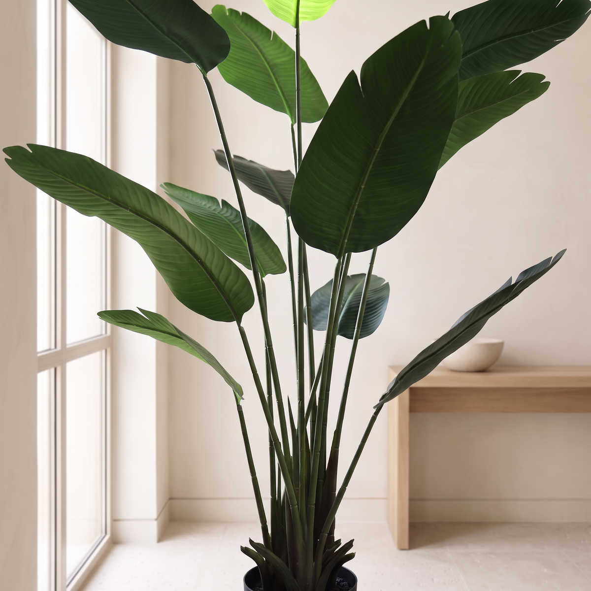 180cm Realistic Tall Traveler's Palm Tree #KD1412, close view