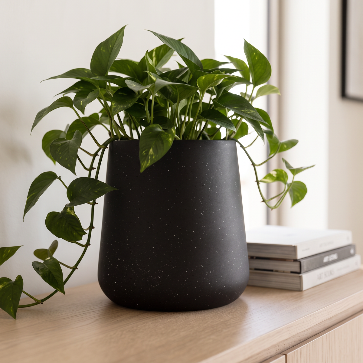 20x25cm Black Fiberclay Planter #KD-003, close view
