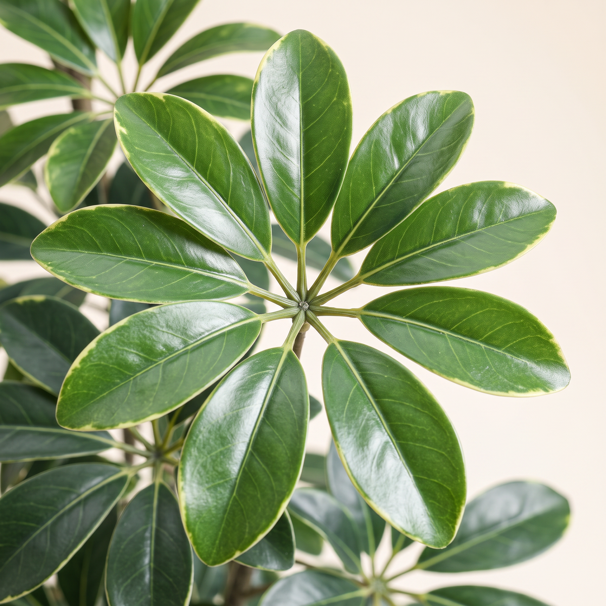 160cm Artificial Plant #JWS3507, material detail