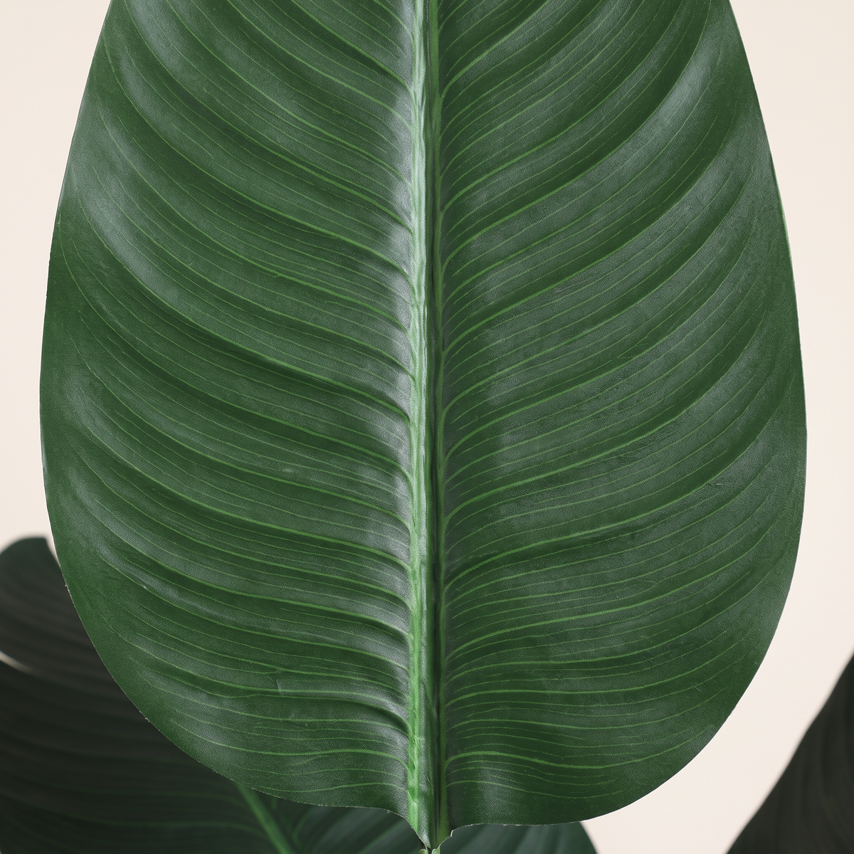 180cm Realistic Tall Traveler's Palm Tree #KD1412, material detail