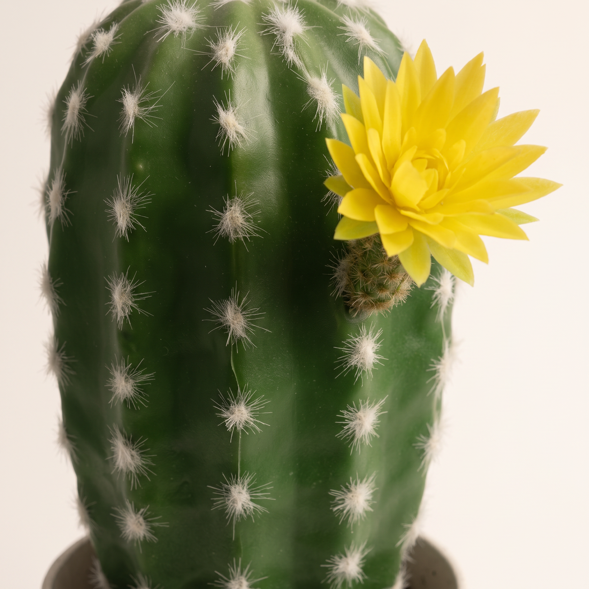 23cm Artificial Plant #JWT3447, material detail