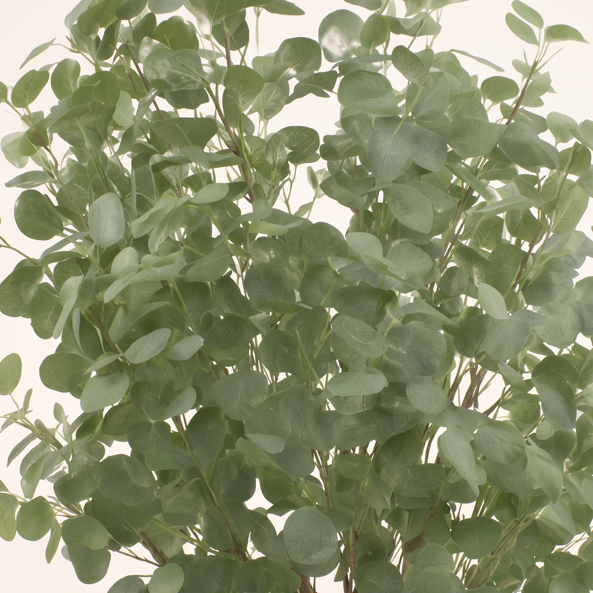 185cm Artificial Plant #JWT3653, material detail