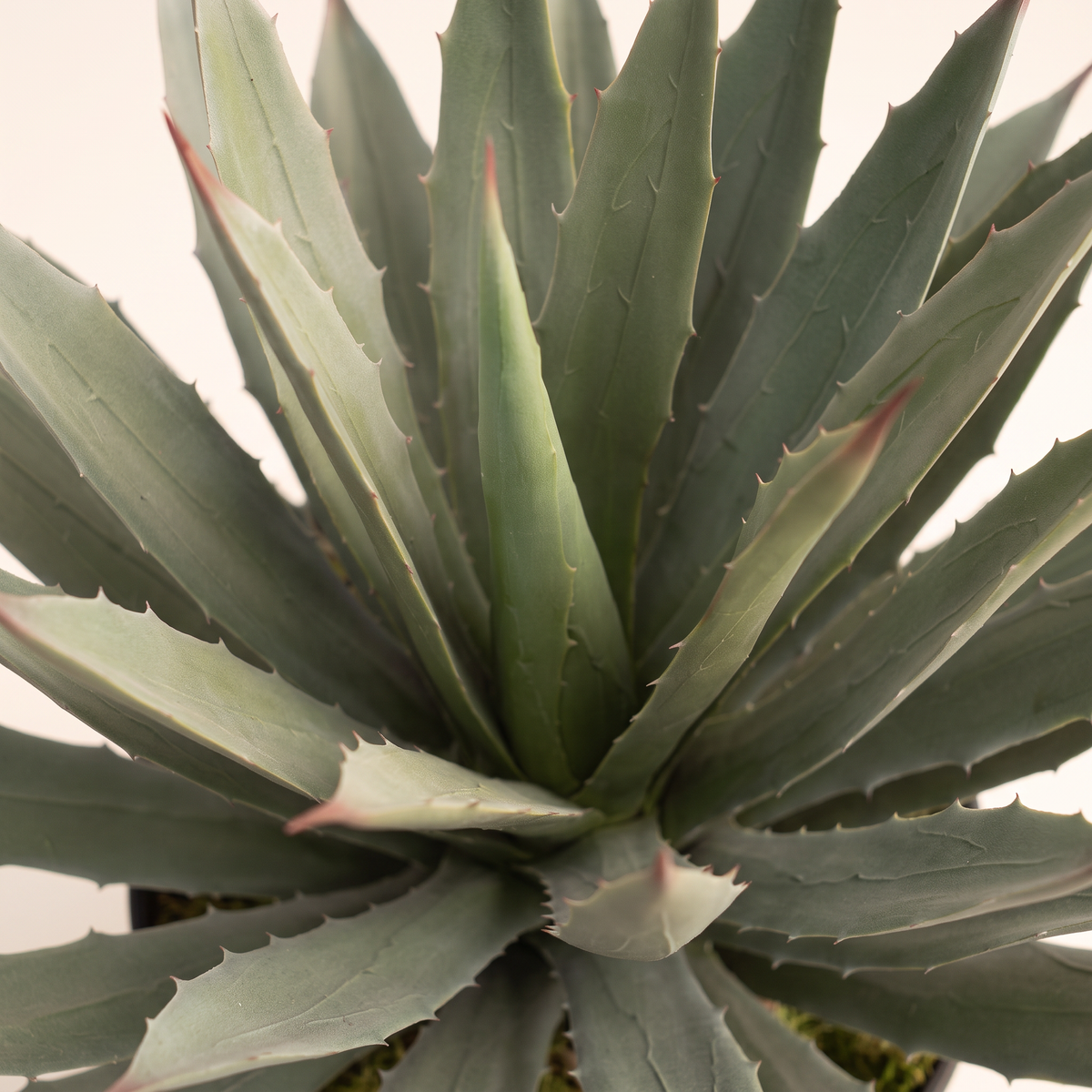 40cm Realistic Artificial Agave Plant #AC28040, material detail