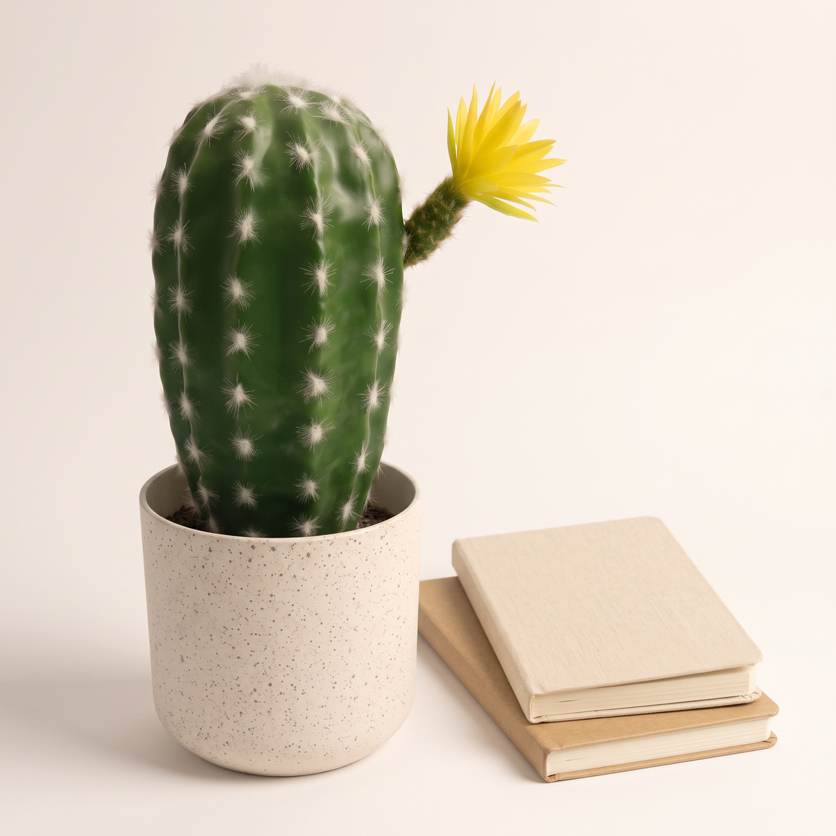 23cm Artificial Plant #JWT3447, styled detail