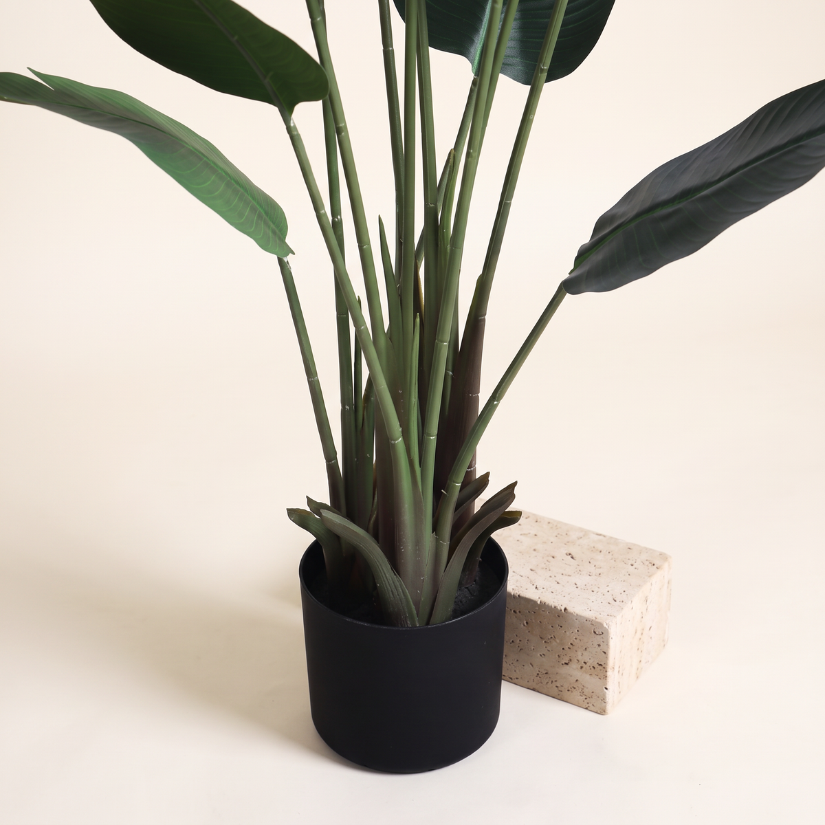 180cm Realistic Tall Traveler's Palm Tree #KD1412, styled detail