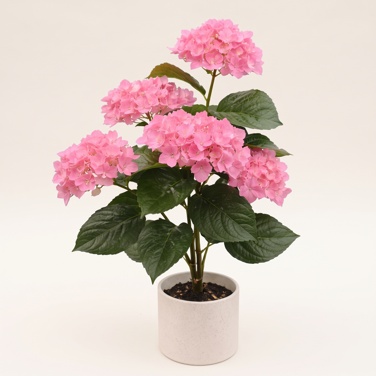 55cm Artificial Plant #JWT3475-3, studio view