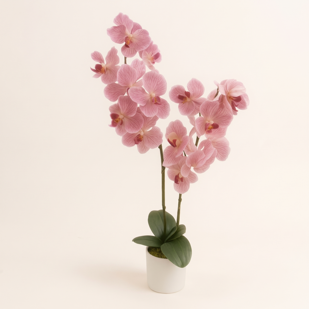 80cm Artificial Plant #JWS3687-1, studio view