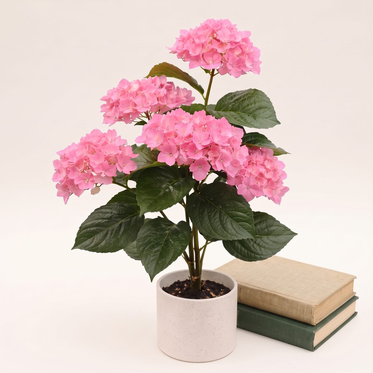 55cm Artificial Plant #JWT3475-3, styled detail