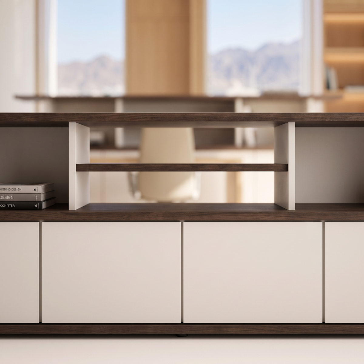 Low Cabinet Storage Credenza, close view