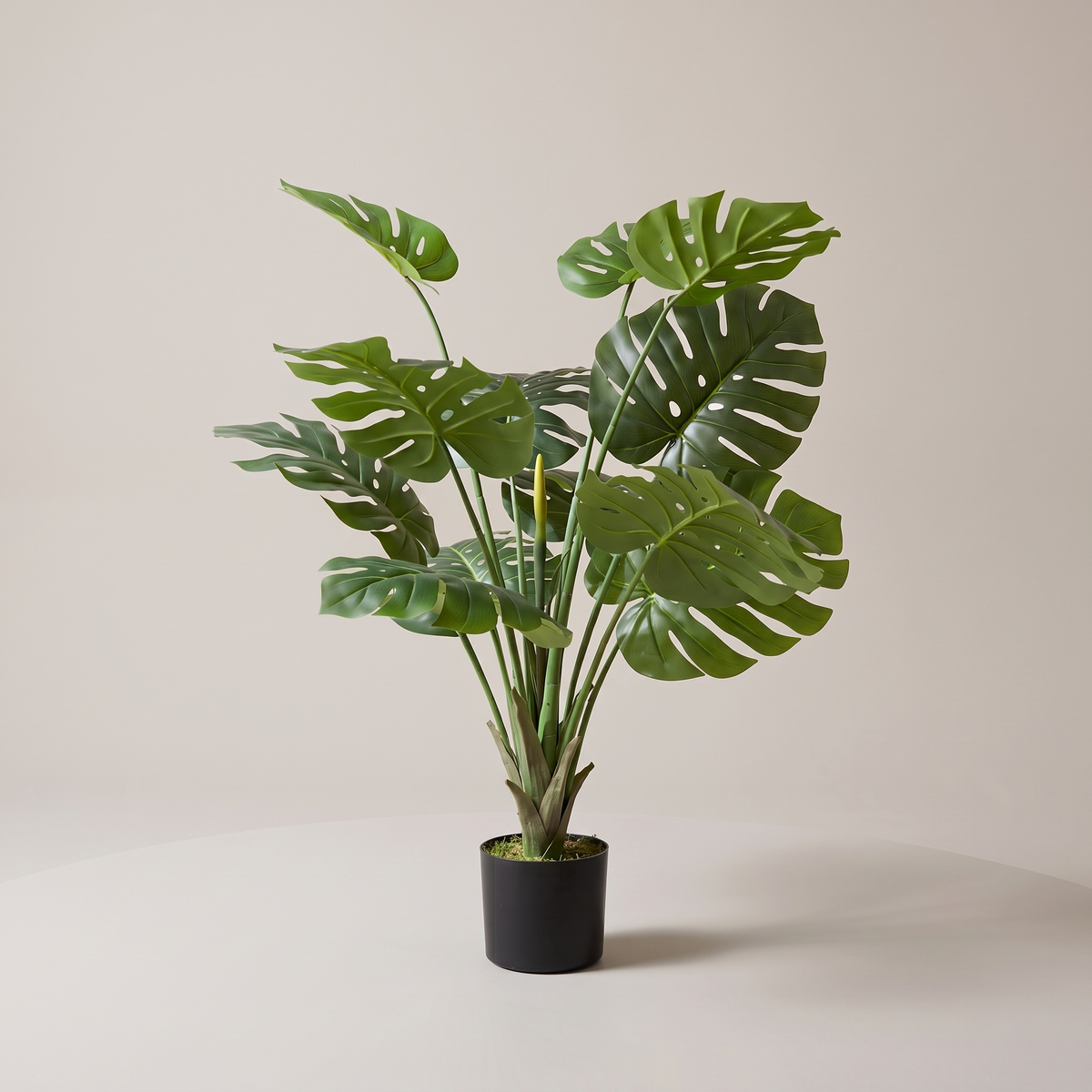 Artificial Monstera plant studio shot on a pale warm-grey backdrop