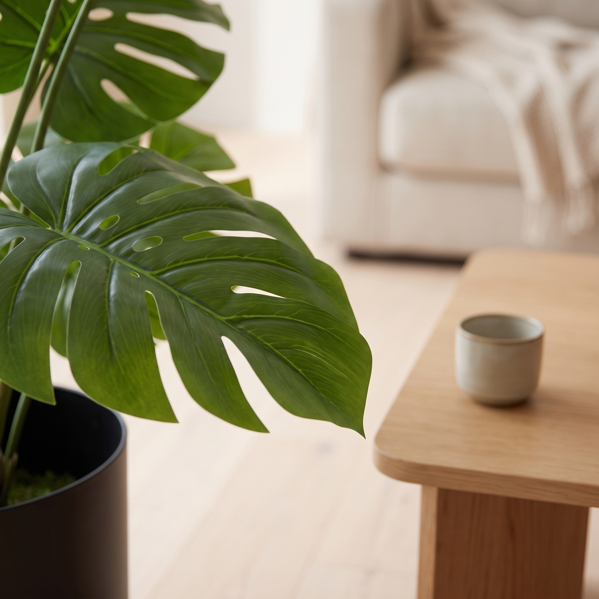Detail of a Monstera leaf edge and the black pot rim beside a ceramic cup