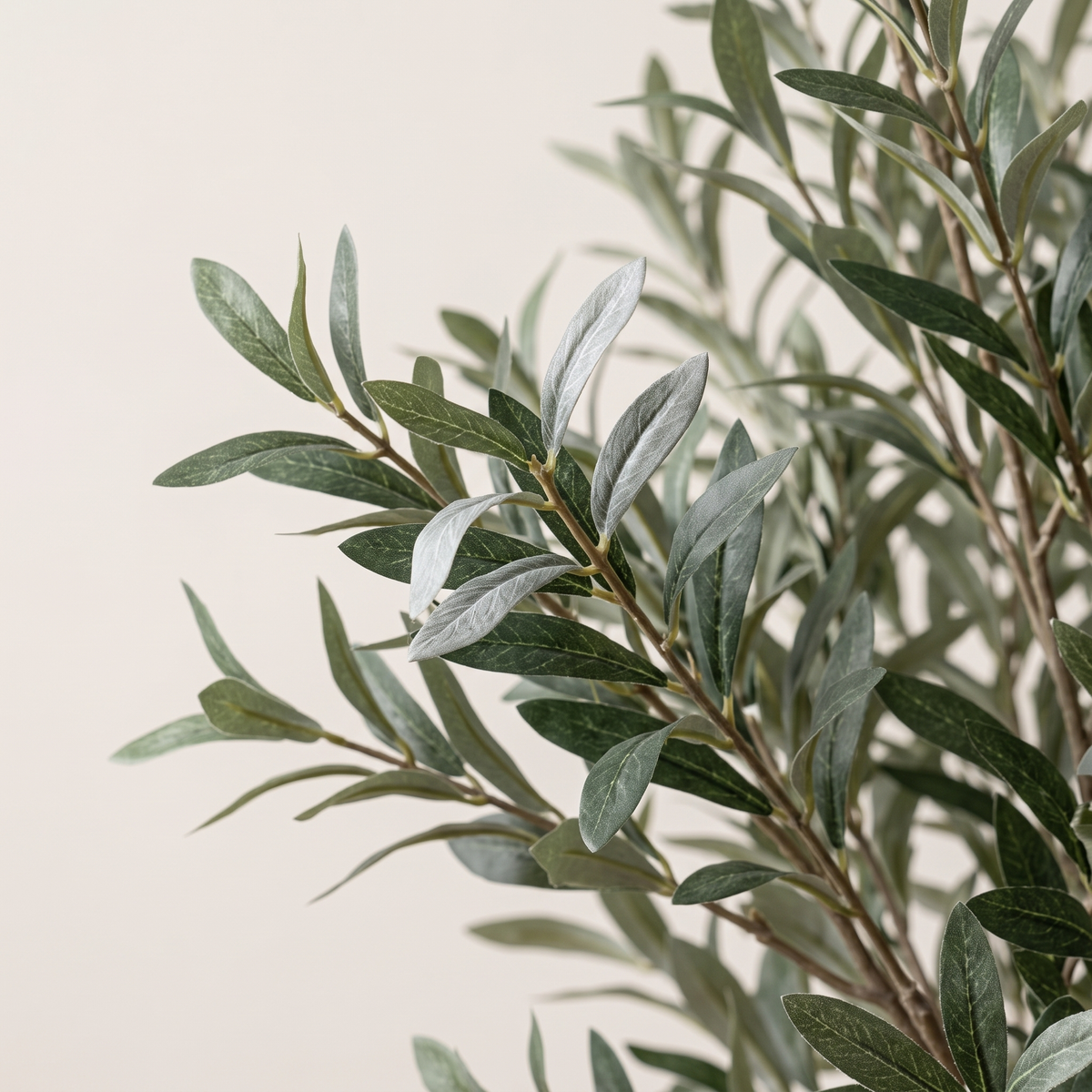 Detail of the realistic grey-green PEVA olive leaves