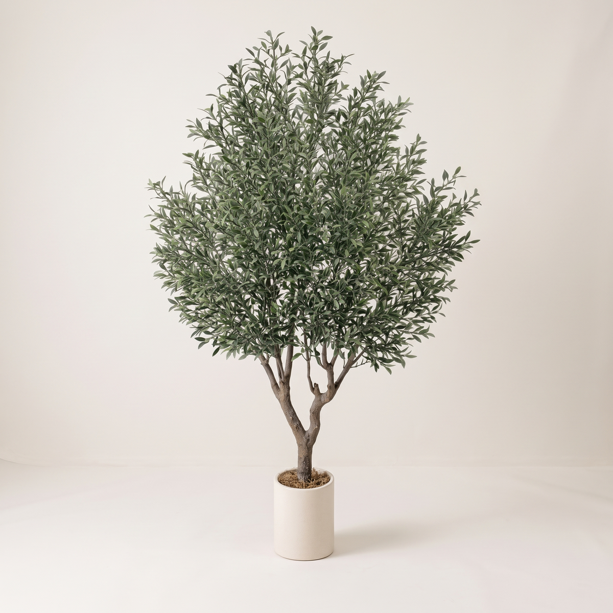 250cm artificial olive tree, full studio view