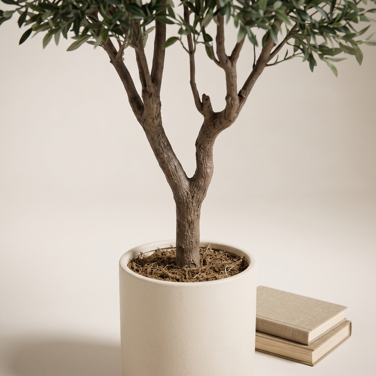 Olive tree trunk and cream pot with two books beside it